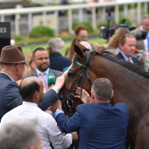 York | Dante Festival | 18-19/5/23