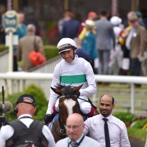 York | Dante Festival | 18-19/5/23