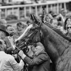 York | Dante Festival | 18-19/5/23