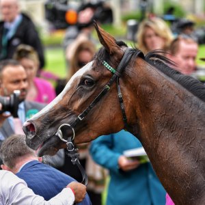 York | Dante Festival | 18-19/5/23