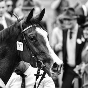 York | Dante Festival | 18-19/5/23