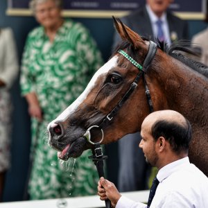 York | Dante Festival | 18-19/5/23