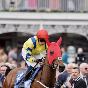 York | Dante Festival | 18-19/5/23