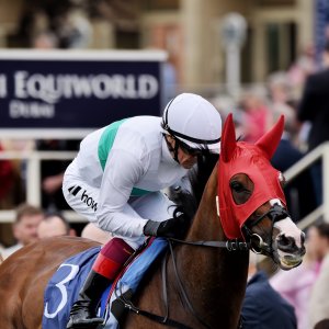 York | Dante Festival | 18-19/5/23