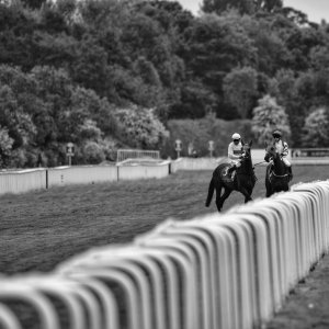 York | Dante Festival | 18-19/5/23