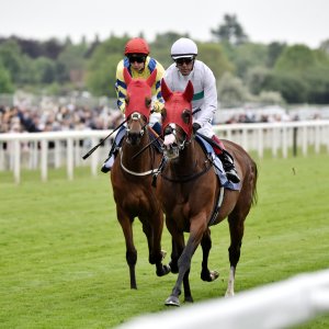 York | Dante Festival | 18-19/5/23