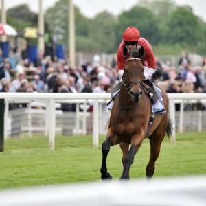 York | Dante Festival | 18-19/5/23