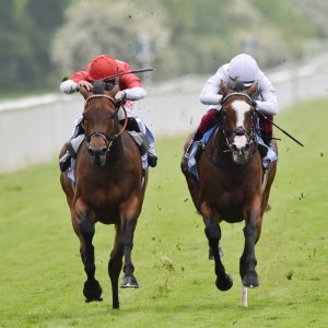 York | Dante Festival | 18-19/5/23