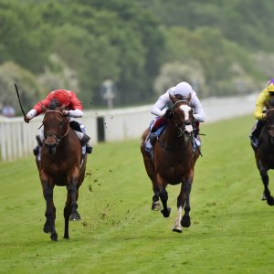 York | Dante Festival | 18-19/5/23