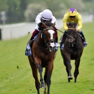 York | Dante Festival | 18-19/5/23