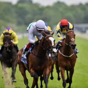 York | Dante Festival | 18-19/5/23