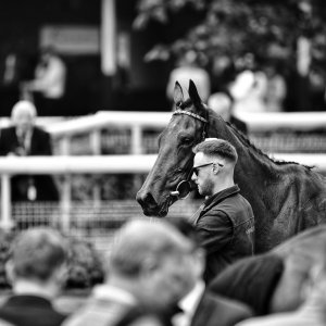 York | Dante Festival | 18-19/5/23