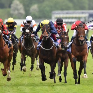 York | Dante Festival | 18-19/5/23