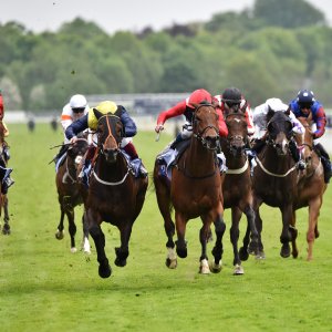 York | Dante Festival | 18-19/5/23