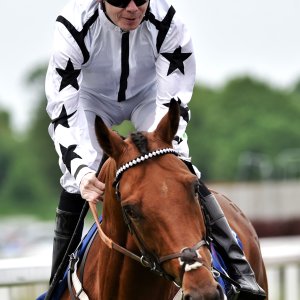 York | Dante Festival | 18-19/5/23