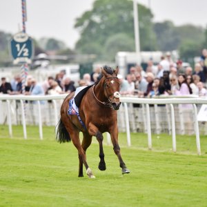 York | Dante Festival | 18-19/5/23