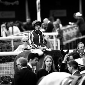 York | Dante Festival | 18-19/5/23