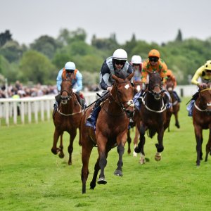 York | Dante Festival | 18-19/5/23