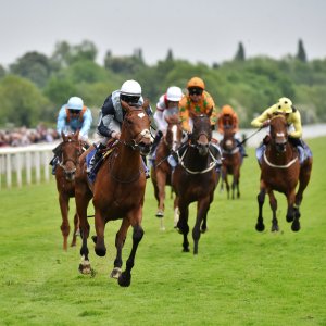 York | Dante Festival | 18-19/5/23