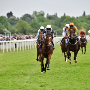 York | Dante Festival | 18-19/5/23