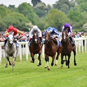 York | Dante Festival | 18-19/5/23