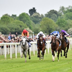 York | Dante Festival | 18-19/5/23