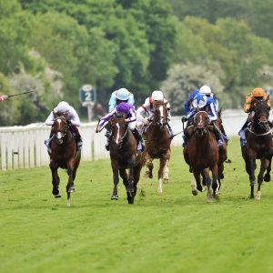 York | Dante Festival | 18-19/5/23