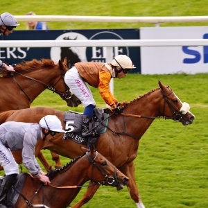 York | Dante Festival | 18-19/5/23