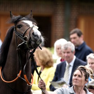 York | Dante Festival | 18-19/5/23