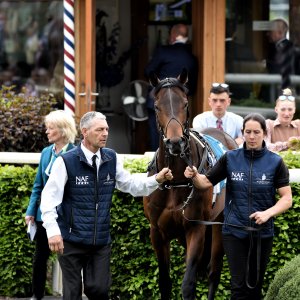 York | Dante Festival | 18-19/5/23