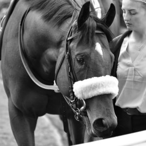 York | Dante Festival | 18-19/5/23