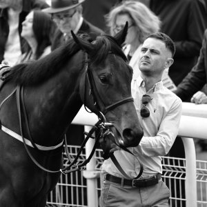 York | Dante Festival | 18-19/5/23