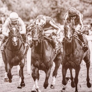 York | Dante Festival | 18-19/5/23