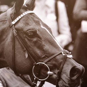 York | Dante Festival | 18-19/5/23