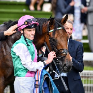 York | Dante Festival | 17/5/24