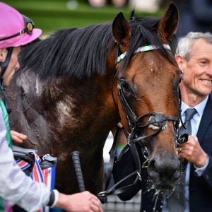 York | Dante Festival | 17/5/24