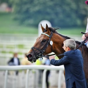 York | Dante Festival | 17/5/24