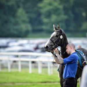 York | Dante Festival | 17/5/24