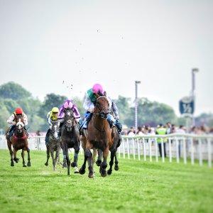 York | Dante Festival | 17/5/24