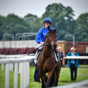 York | Dante Festival | 17/5/24