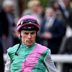 York | Dante Festival | 17/5/24