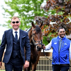 York | Dante Festival | 17/5/24