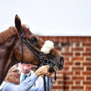 York | Dante Festival | 17/5/24