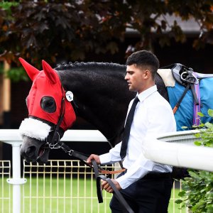 York | Dante Festival | 17/5/24