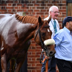 York | Dante Festival | 17/5/24