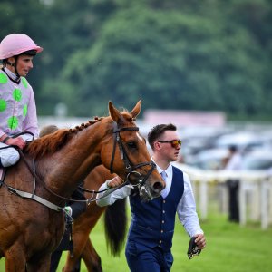 York | Dante Festival | 17/5/24