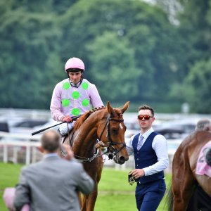 York | Dante Festival | 17/5/24