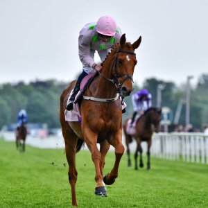 York | Dante Festival | 17/5/24