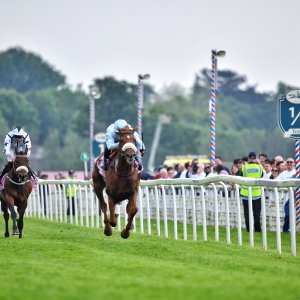 York | Dante Festival | 17/5/24