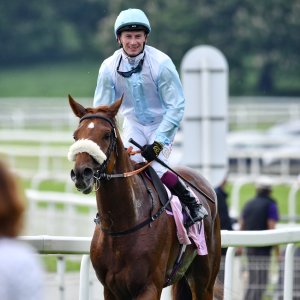 York | Dante Festival | 17/5/24